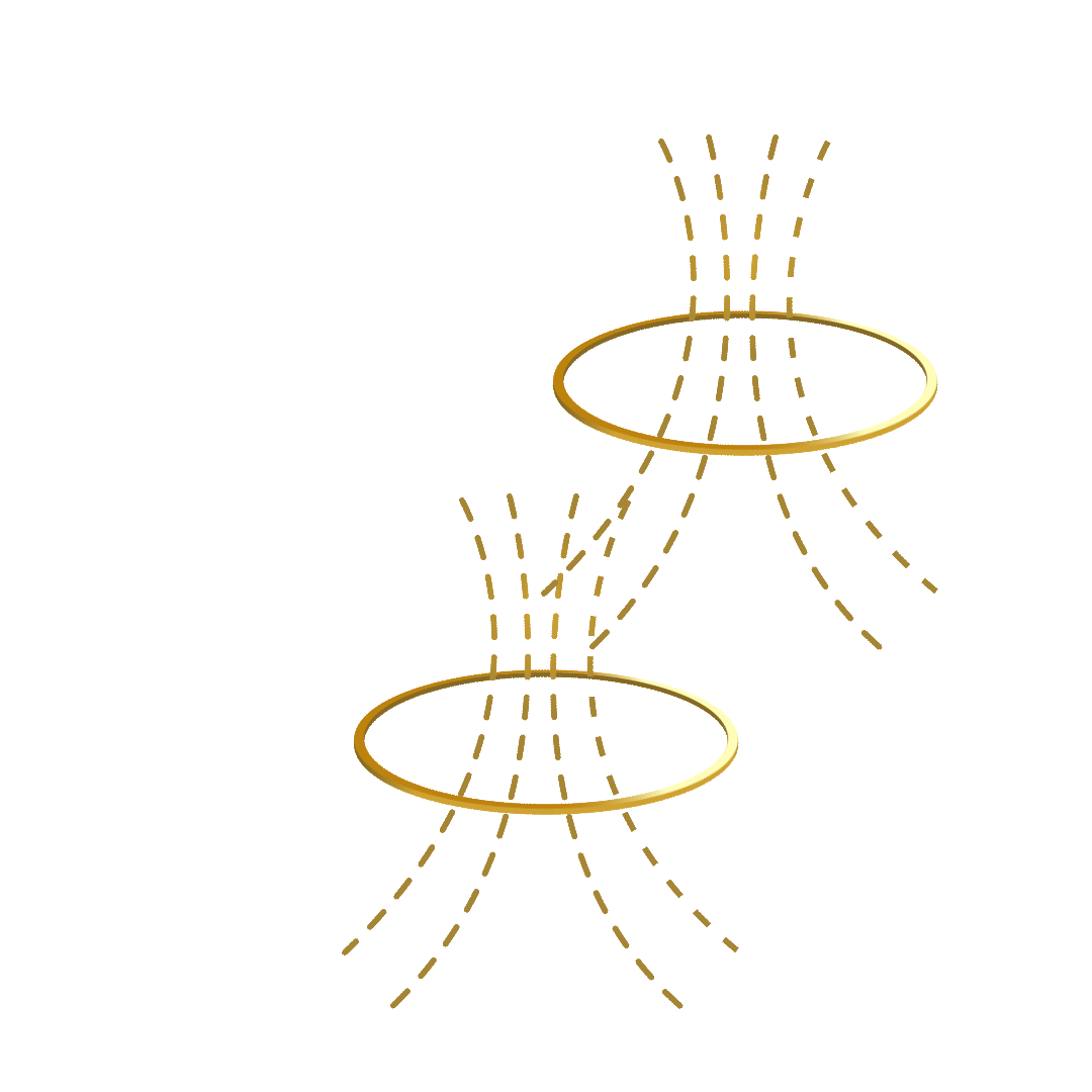 image4.GIF